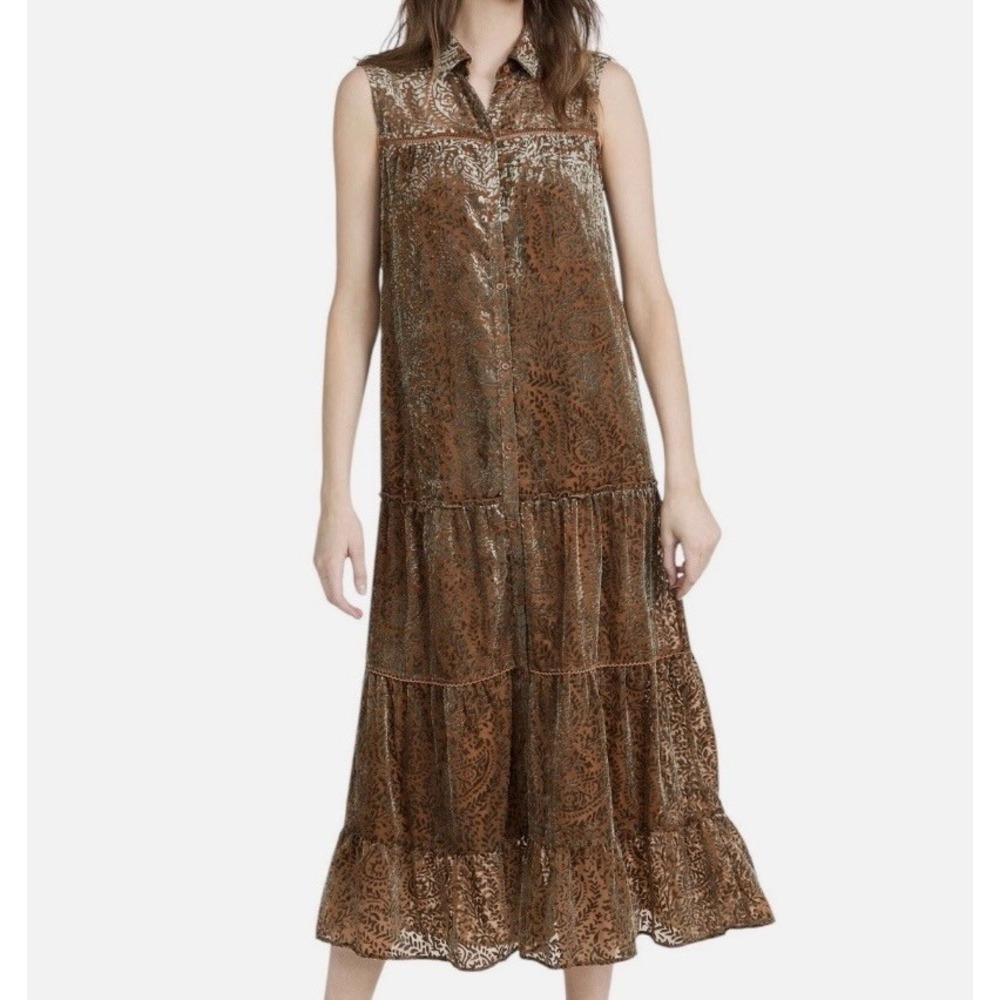 BB Dakota Amber Telepatia Burnout Velvet Maxi Dress Size L Paisley Button Front